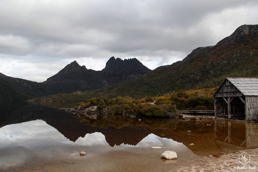lake st clair, cradle mountain