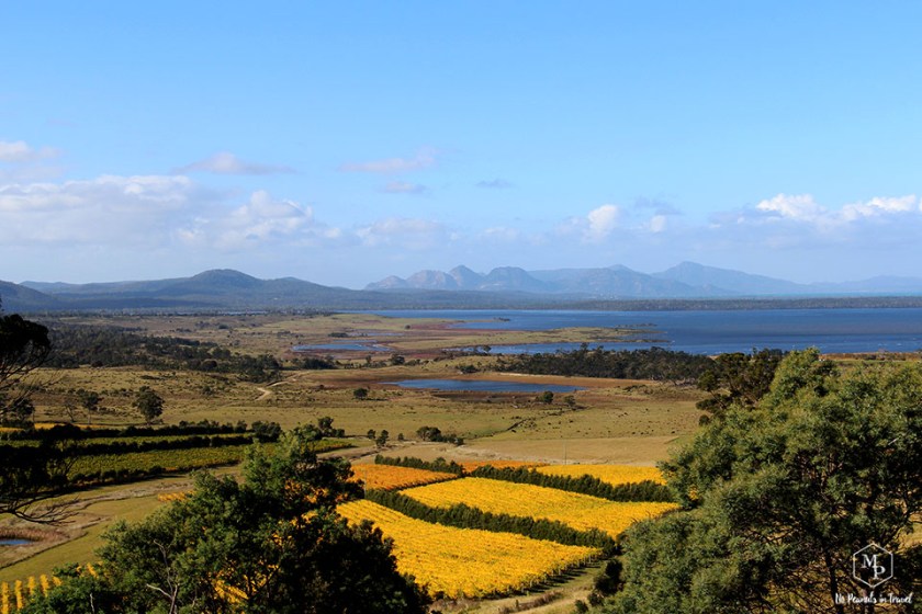 moulting lagoon game reserve