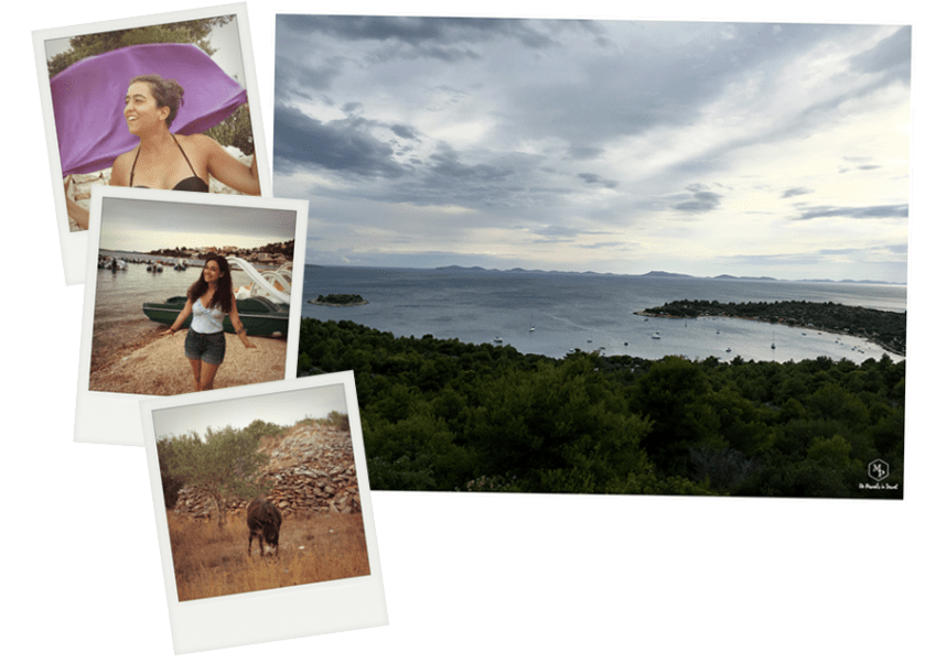 Murter et Jasenovo.png