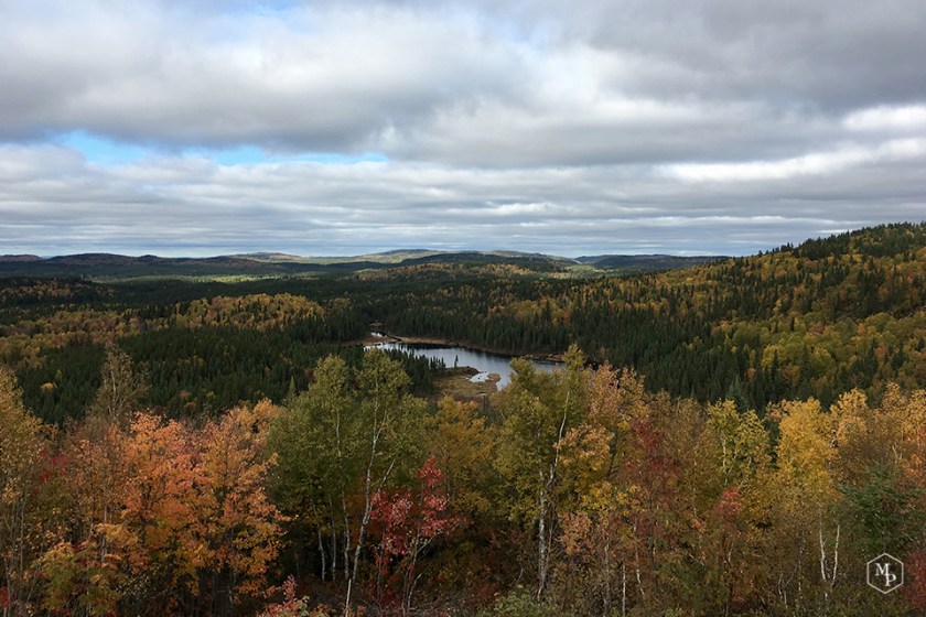 vue depuis la tour de feu