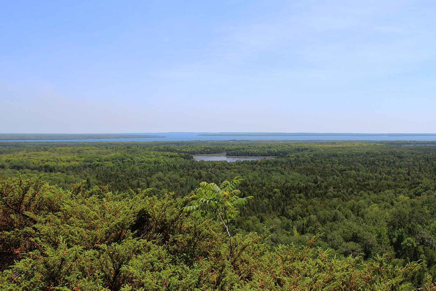 Manitoulin - Cup and Saucer vue