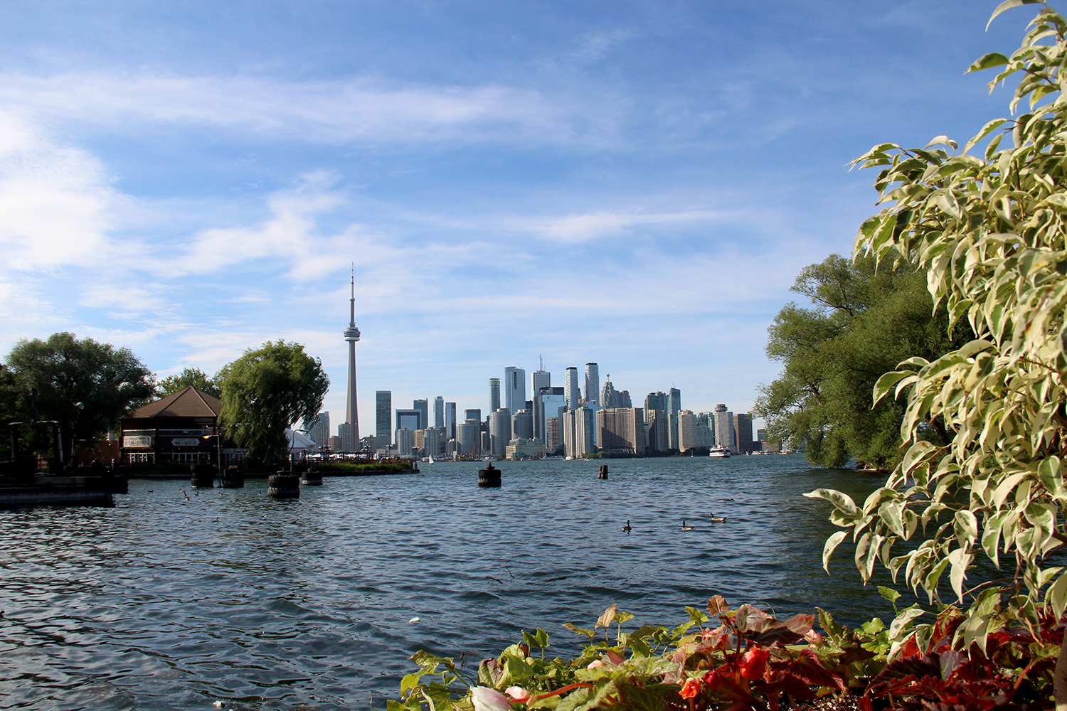 toronto islands
